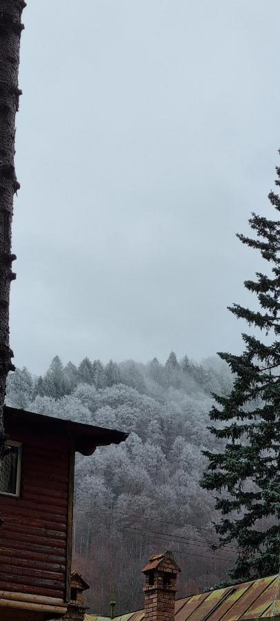 Sophie Apart Belleview Sinaia Dış mekan fotoğraf