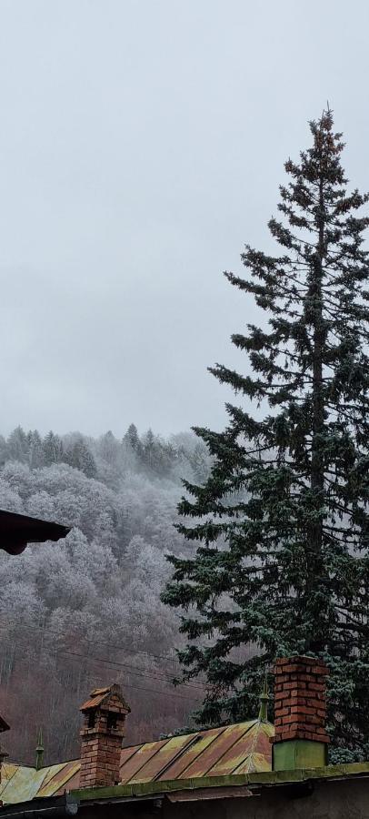 Sophie Apart Belleview Sinaia Dış mekan fotoğraf